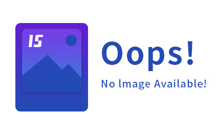 B42 Diesel Injector Adjust Shim Encyclopedia